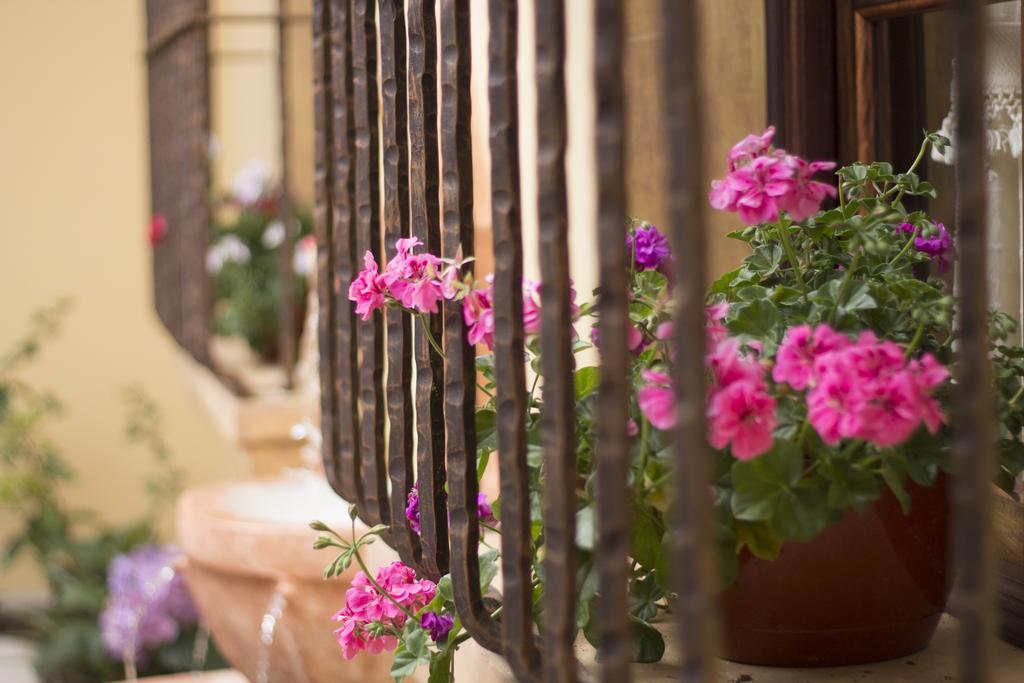 Hotel Casa Buena Vista Antigua